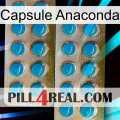 Anaconda Capsule new08